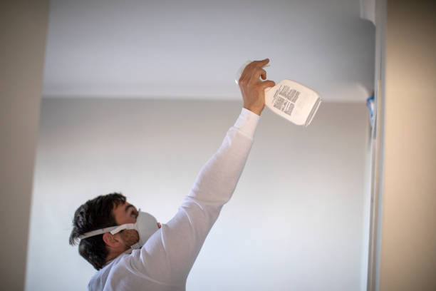 Office Mold Removal Services in Fowler, MI