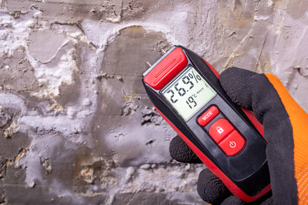 Mold Testing and Removal in Fowler, MI