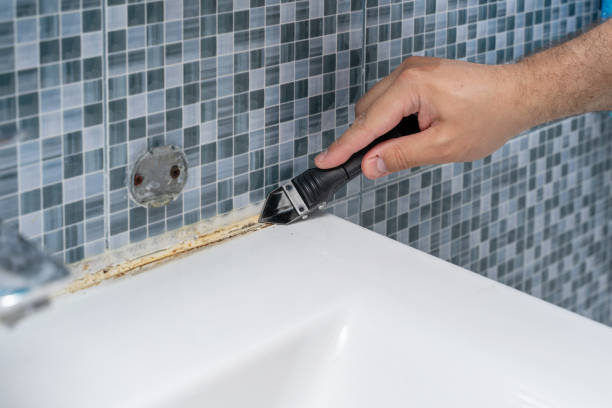 Best Mold Damage Repair  in Fowler, MI